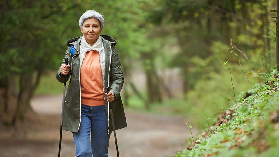 nordic walking