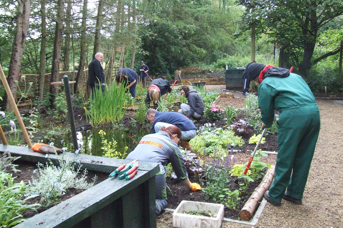 A group of people working together gardening